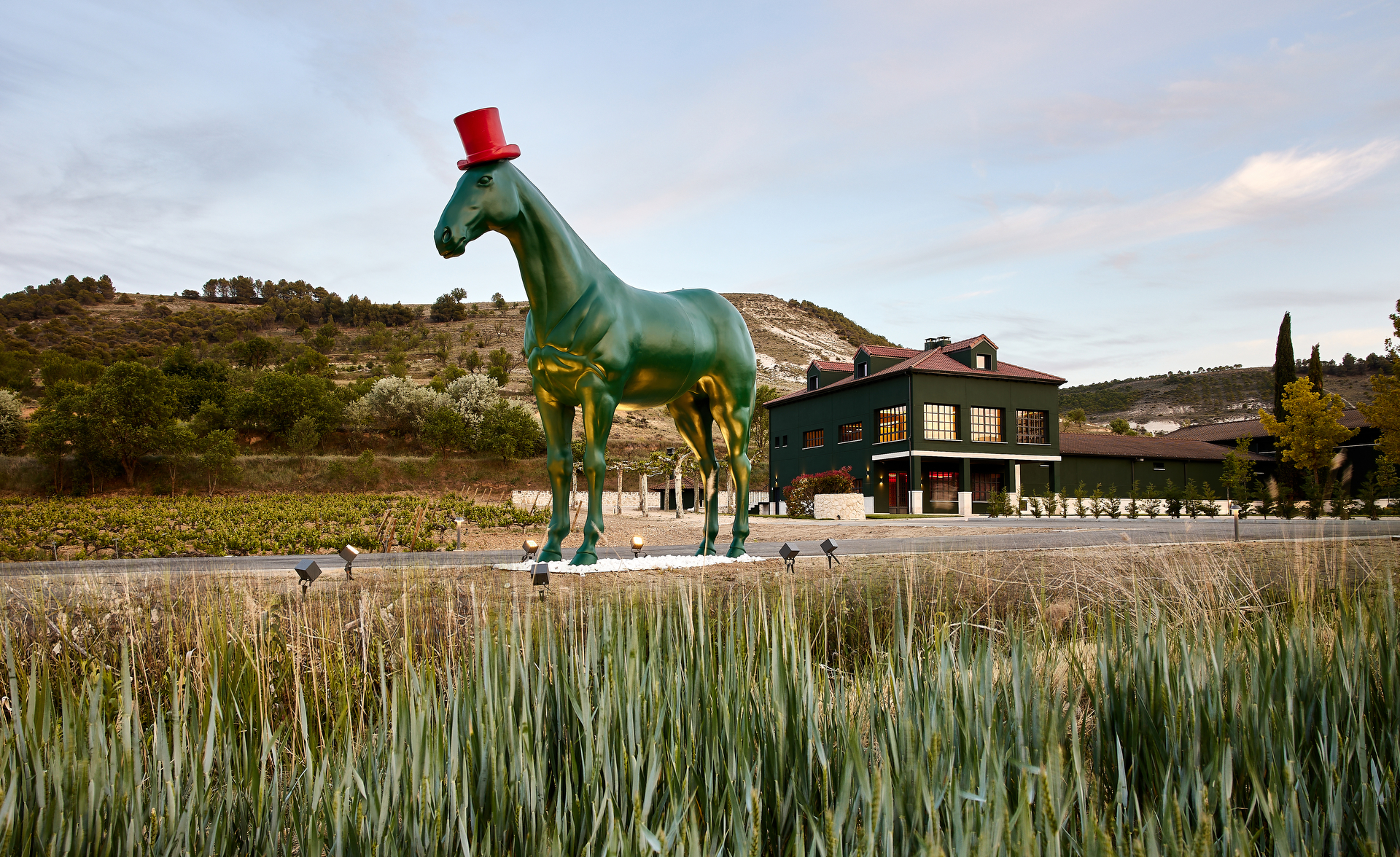 Vin & Golf i Ribera del Duero
